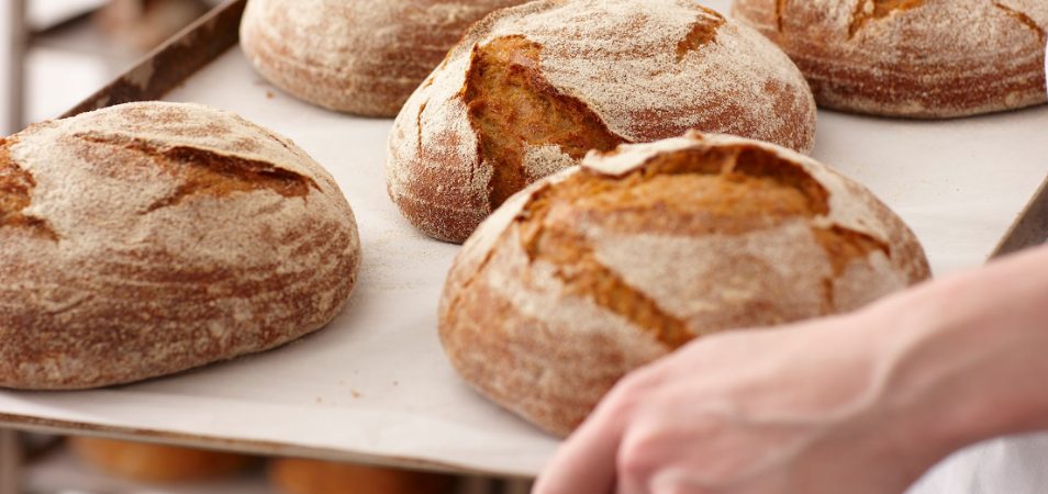 A tray of freshly baked bread loaves being carried at a bakery. 